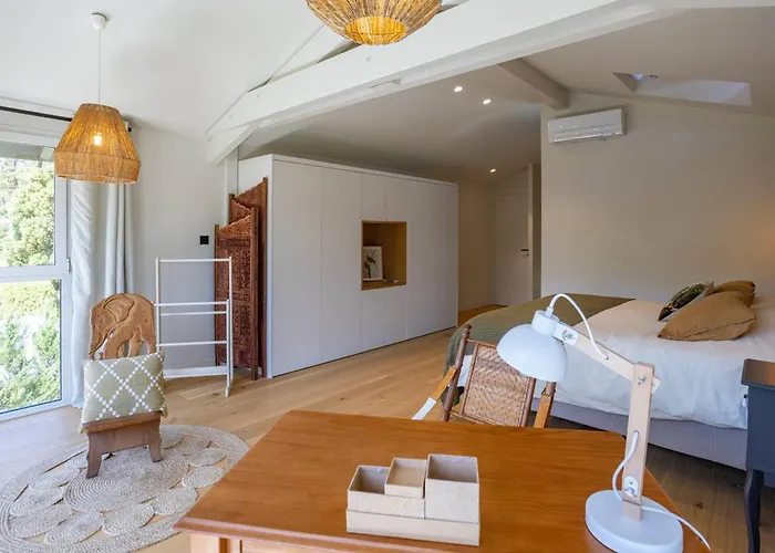 Renovee A Hossegor Avec Piscine Chauffee, Proche Golf Et - Fr-1-791-15 فيلة *